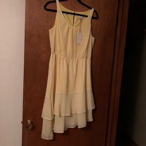 NWT A New Day dress